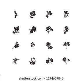 Flora icon set and siren flower with oleander, pansy, plumbago. Aloha related flora icon vector for web UI logo design.