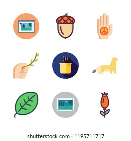 flora icon set. vector set about ermine, acorn, palm and rose icons set.
