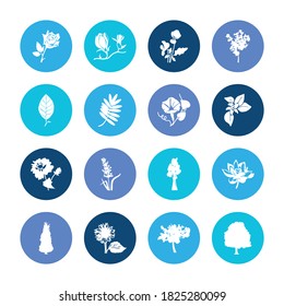 Flora Icon Set und Viola mit Apfelbaum, Thuja und Sonnenblume. Kirschblüte verwandte Flora Symbol Vektorgrafik für Web UI Logo Design.