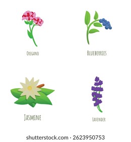 Ícones de flora definem o vetor de desenhos animados. Orégano, mirtilo, jasmim e lavanda. Planta, natureza, meio ambiente