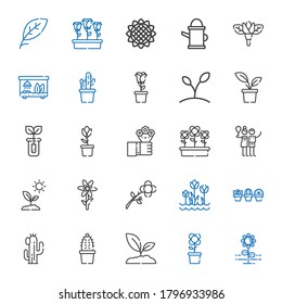 flora icons set. Collection of flora with flower, sprout, cactus, plant, tulips, birch, flowers, tulip, rose, terrarium, watering can, sunflower. Editable and scalable flora icons.