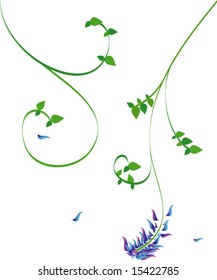 Flora illustration.