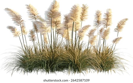 Flora long feather vector cut out, grass fields elements, transparent background, nature leaves, green plant, eco friendly art, botanical design, spring grass illustration