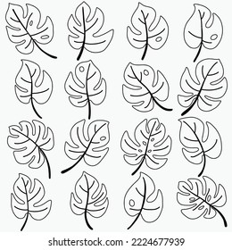 Flora monstera leaf freehand drawing decorative ornament. Vector illustration.