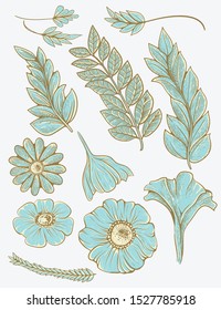 flora ornament with engrave and vintage color 