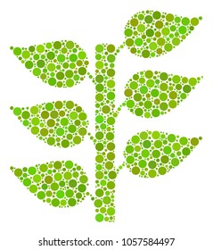 Flora Plant collage of dots in various sizes and color shades. Circle dots are combined into flora plant vector illustration. Vector design concept.