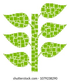 Flora Plant collage icon of square figures and round items in variable sizes. Vector items are organized into flora plant mosaic design concept.