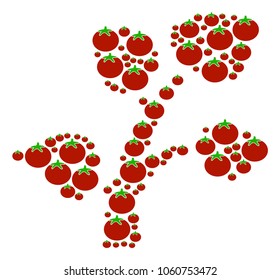 Flora Plant composition of tomato in various sizes. Vector tomato vegetable symbols are combined into flora plant shape. Vegetable vector design concept.