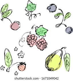 Floral abd berrries graphic elements big vector set. Fruit and berries hand drawn illustrations made in doodle style