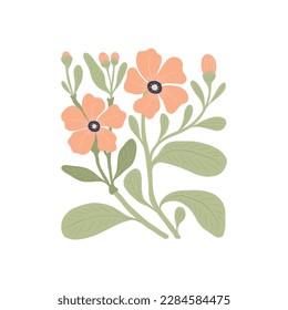 Floral abstract elements. Botanical composition. Modern trendy Matisse minimal style. Floral poster, invite. Vector arrangements for greeting card or invitation design