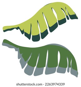 Floral abstract elements. Palm leaves abstract shapes. FloralBotanical composition. Modern trendy Matisse minimal style. Floral poster, invite.