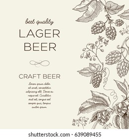 Floral abstract light background with text and beer herbal hop branches in hand drawn style vector illustration