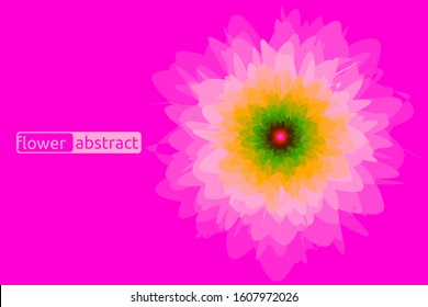 floral abstract light vector display