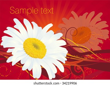 Floral abstract. Vector.