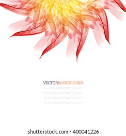 Floral abstract vector background. orange and red sunflower