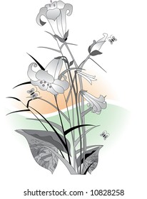 Floral abstraction