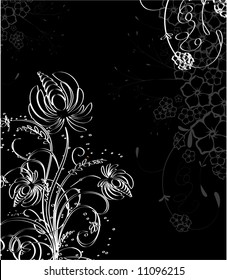 Floral abstraction