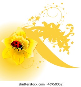  Floral abstraction