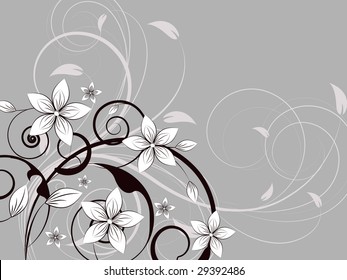 Floral abstraction for design.