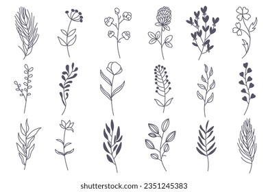 Floral aesthetic elements in flat black white design. The illustration shows a minimalist flat design featuring a delightful set of floral arrangements in black color. Vector illustration.