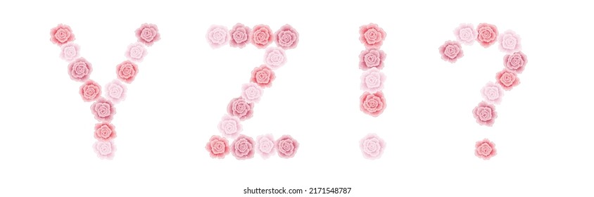 Floral alphabet from blooming rose buds for greeting card, wedding invitation, banner, logo, poster. Set of letters and signs Y, Z, !, ?