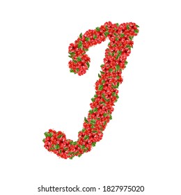 Floral Alphabets Flowers Letters Typography Illustration Vintages Initial letterpress Decorative