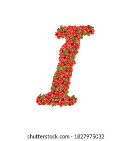 Floral Alphabets Flowers Letters Typography Illustration Vintages Initial letterpress Decorative