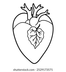 Floral anatomical heart simple art