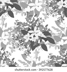 Floral  arabis, orange background vector illustration. Sprig of mimosa, flowers and leaves of sakura, cherry and magnolia, spring background, floral greeting card