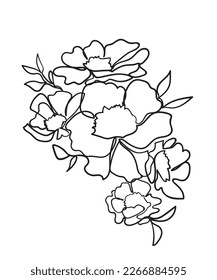 Floral arrangement of blooming flowers for decorating a greeting cards. Line art. - Vector illustration 