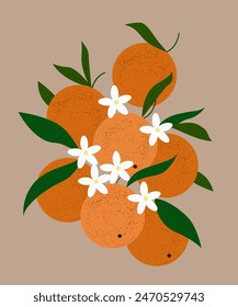 Arreglo floral con mandarinas florecientes. Frutas sureñas brillantes con flores. Vector Anuncio. Ilustración botánica. 