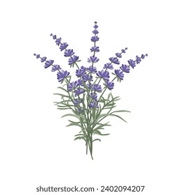 Una disposición floral de flores de lavanda en forma de ramo para el diseño de postales, invitaciones y otros afiches.