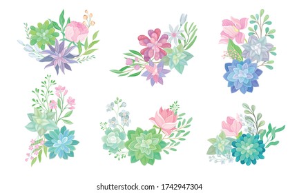 Floral Arrangements with Succulent Echeveria and Branches Vector Set