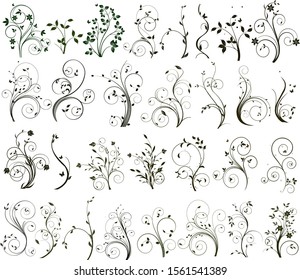 Vektordesign-Satz für Blumenarten 	
