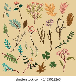 Floral Autumn Pattern Vector Design