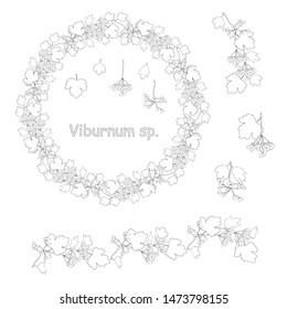 Floral autumn set with cute bunches of black outline viburnum fruits on white. For romantic autumn season design, announcements, greeting cards, posters, advertisement, gardening stock vector illustra