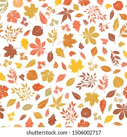 Floral autumnal leaf seamless pattern. Fall leaves background. Autumn flourish nature backdrop