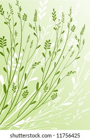 floral background
