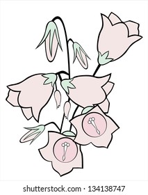 floral background