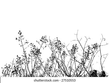 floral background