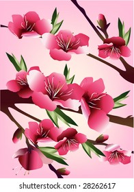 floral background