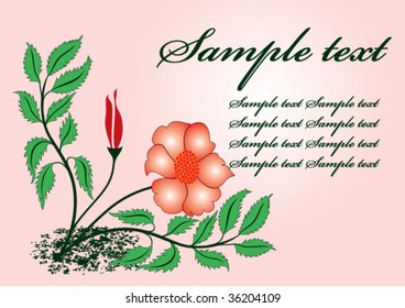 floral background