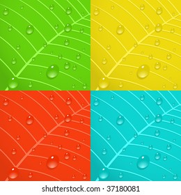 fondo floral