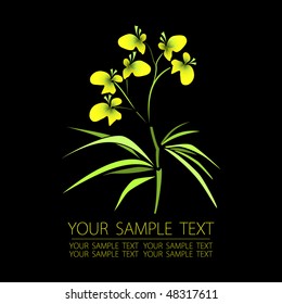 floral background