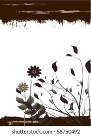 fondo floral