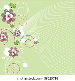 fondo floral