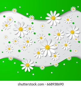 Floral background with 3d chamomiles cutting paper. Vector illustration
