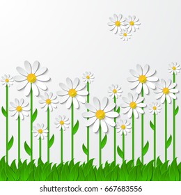 Floral background with 3d chamomiles on the grass cutting paper isolated on white. Vector illustration