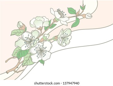 Floral background apple blossom