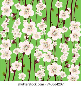 Floral background with apricot flowerson green background for card or wedding invitation
